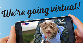 Join us for Pet Walk! 